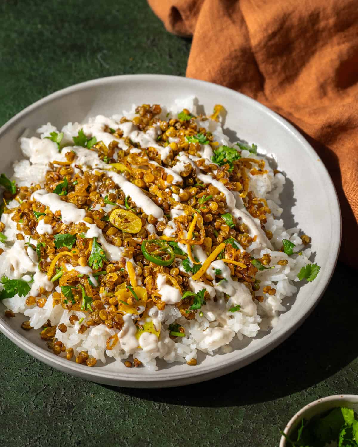 Vegan & Creamy Indian Lentil Rice: Simple Recipes & Tips